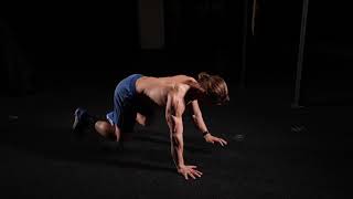 Quadruped Limb Lift exercise video thumbnail