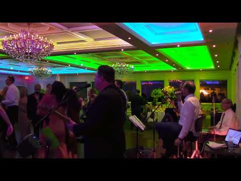 Goldenseal - I Wanna Be Sedated (Ramones Cover)- Wedding at The Mill in Spring Lake, NJ - March 2024