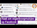 Er zijn naast blauwe of roze, nu ook regenboogmuisjes
