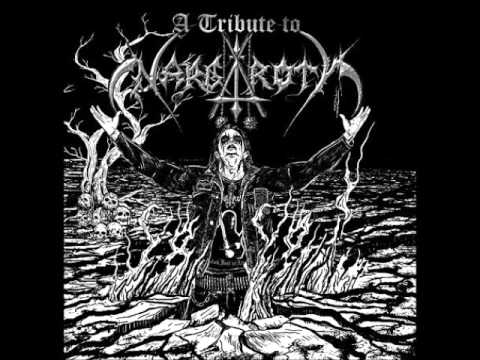 Nebelfront - Manchmal Wenn Sie Schläft (Nargaroth Cover)