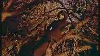 Alexandra - Zigeunerjunge 1967