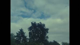 Everyday Beauty | Life |