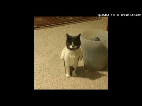 [free for profit] Lil Darkie x Cxrpse type beat - "TRIGGERFINGER"