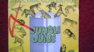 ELECTRIC COKERNUT "Jungle Juice" 1973 GLAM ROCK MOOG