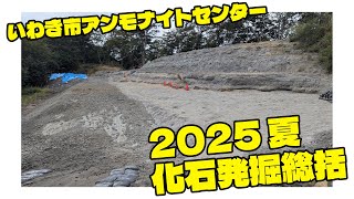 【2025】夏の化石発掘成果【アンモナイトセンター】