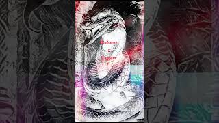 My Book Madness &amp; Rapture #wattpad #storytelling #book #fantasy #action #drama #mystery #mature