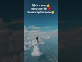 Sooraj Dooba Hain Lofi SONG Arijit Singh Aditi Singh Sharma Lo Fi Dency Shortsfeed