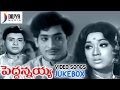 Peddannaya Telugu Movie Video Songs Jukebox Jaggayya Prabha Sangeetha Divya Media