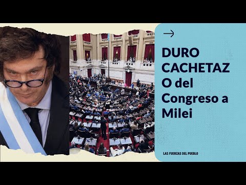El Congreso le acaba de dar un durísimo golpe a Milei