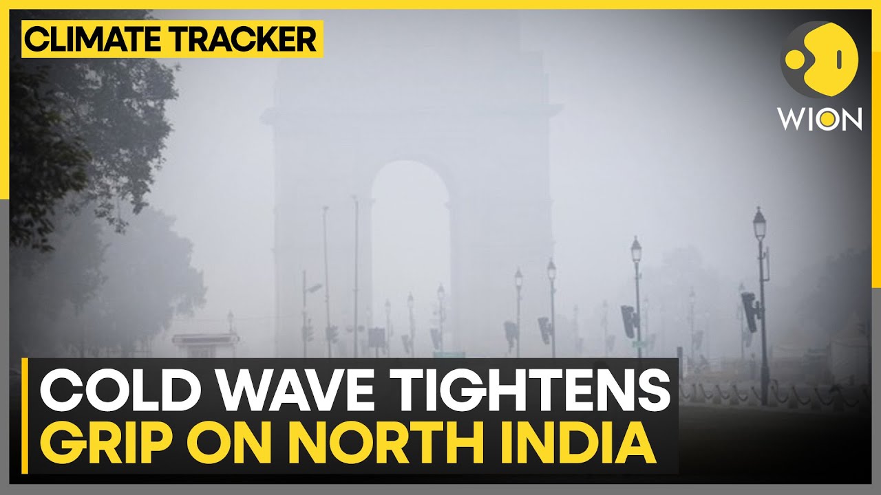 North India Cold: Severe Cold Persists in Delhi & Neighbouring States | WION CLIMATE TRACKER