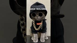 ID1883513027https://www.capcut.com/t/ZmFbYu8fg/