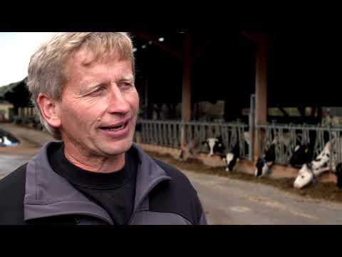 Sicherer Umgang mit Rindern - Elektronische Brunsterkennung