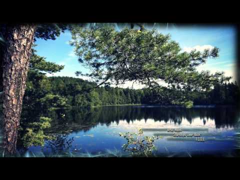 Arctic Moon-Starships Over Alice (Original Mix)