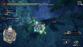 狩ってみよう[MHRSB]★28 参加OK ＃サンブレイク