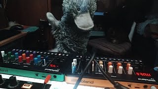 Minimal Acid Tekno - Pablo Keblo vs I Hate Robots Live @ MINTAKA - feat T8 + S1 #banger