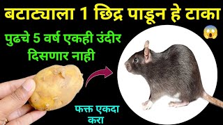 कोणतही औषध न वापरता घालवा घरगुती पद्धतीने उंदीर😱takau pasun tikau vastu / kitchen tips / mouse / rat