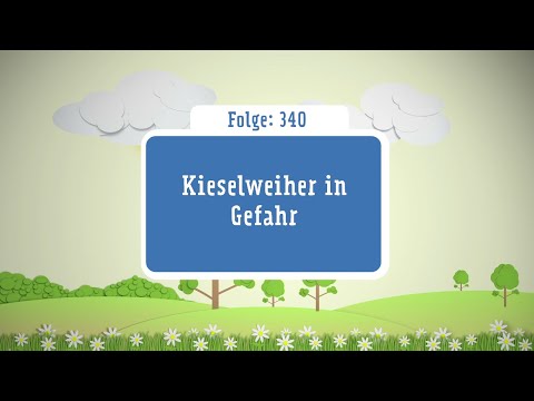 Kinderhörspiel Doppeldecker Folge 340 Kieselweiher in Gefahr
