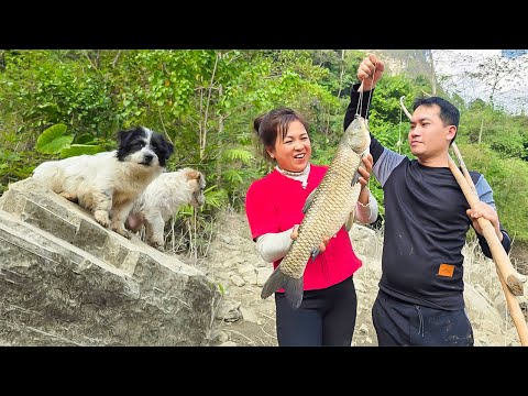 The simple life of a young couple in their dream home; CEO Ngoc catches a big fish |@lytunga90