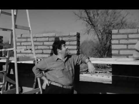 Lilies of the Field Clip