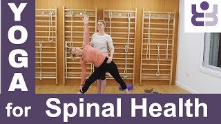 20 minute Iyengar Yoga Class for Spinal Health, with Inversions Extension