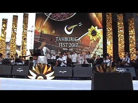 Tamburica fest 2017  "A ti se nećeš vratiti"