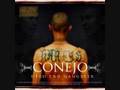 Conejo-Shady