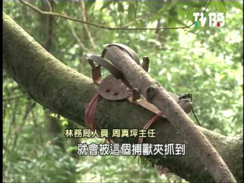 森林守護者  森林警察