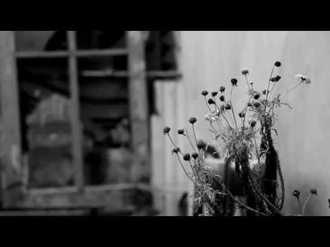 La Mitad video