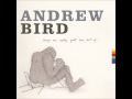Andrew Bird - My sister's tiny hands 