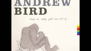 Andrew Bird - My sister&#39;s tiny hands