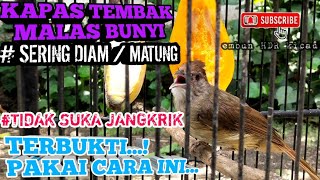 Download lagu EFEKTIFâť—MENGATASI KAPAS TEMBAK MALAS BUNYI,SERING DIAM/MATUNG & TIDAK MAU MAKAN JANGKRIK mp3 Download lagu EFEKTIFâť—MENGATASI KAPAS TEMBAK MALAS BUNYI,SERING DIAM/MATUNG & TIDAK MAU MAKAN JANGKRIK mp3