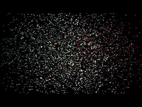 AGILITY TEAM ITALY TV - La Sigla