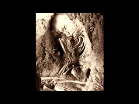 Genes, Giants, Monsters and Men - Joseph Farrell