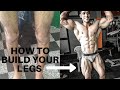 How to build your frame | legs training | beginners series -2 |