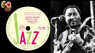 HONEY BEE - MUDDY WATERS