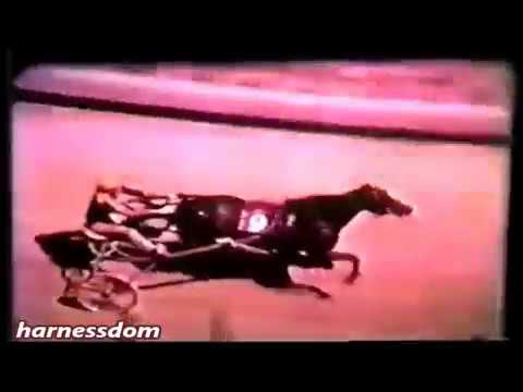 1968 DuQuoin State Fair NEVELE PRIDE Hambletonian 1st Heat Stanley Dancer