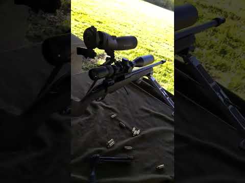 Hornady® SST® Bullet Overview