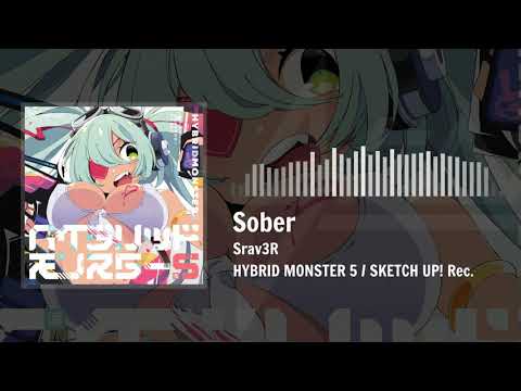 Srav3R - Sober