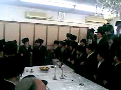 Motzei Yom Kippur in Modzitz 5771 (5)