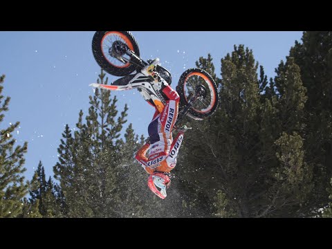 TONI BOU 2024 👑 THE TRIAL KING 👑