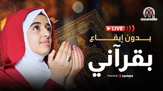 Malak fathi livestream ملاك فتحي بث مباشر بقرآني بدون إيقاع