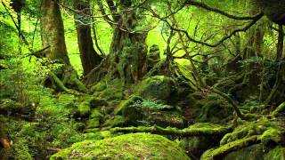 Hedningarna - Höglorfen (live in swedish radio)