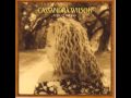Cassandra Wilson - Shelter from the Storm