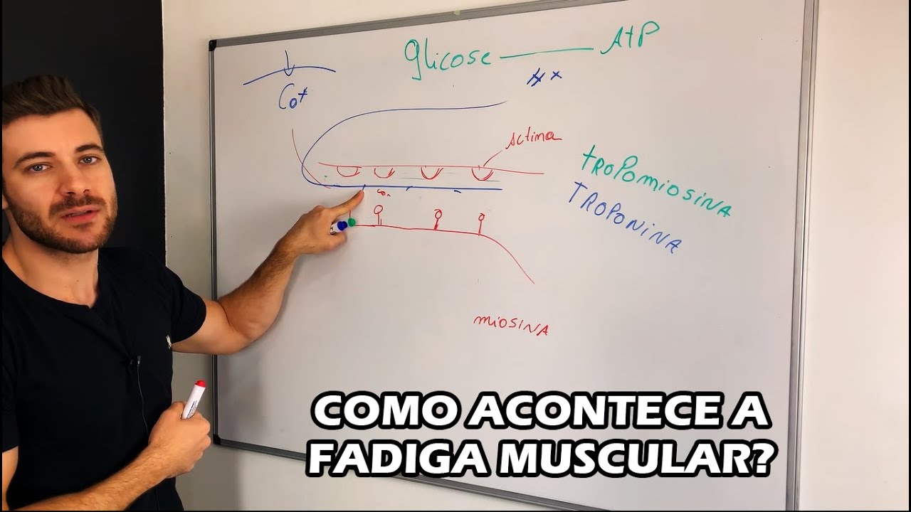 Como acontece a fadiga muscular? Como Evitar?