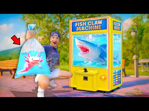 I Bought Exotic Fish From a Live Fish Claw Machine!