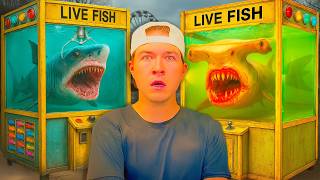 I Bought Deadly Fish From a Live Fish Claw Machine...