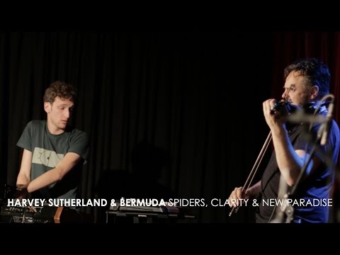 Harvey Sutherland and Bermuda - 'Spiders', 'Clarity' & 'New Paradise' (Live at 3RRR)
