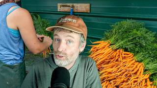 Carrot Production Deep Dive