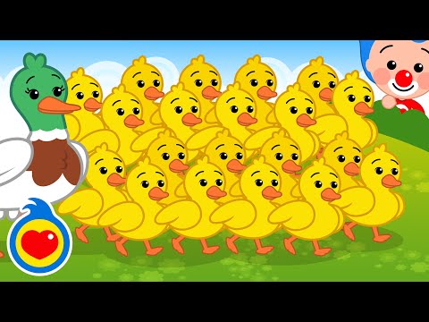 Cinquenta Patinhos 🦆🦆🦆 | Música Infantil | Um Herói do Coração