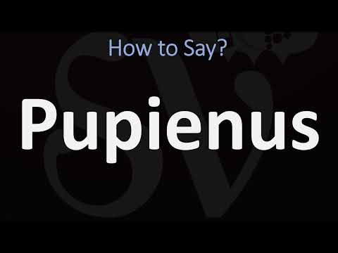 How to Pronounce Pupienus? (CORRECTLY)